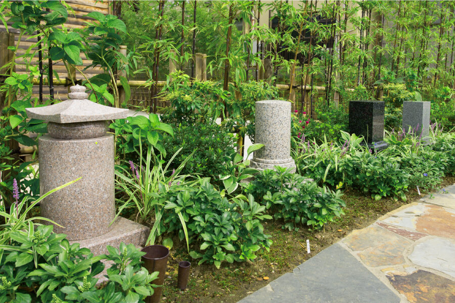 桜の花たち -中-サブ画像