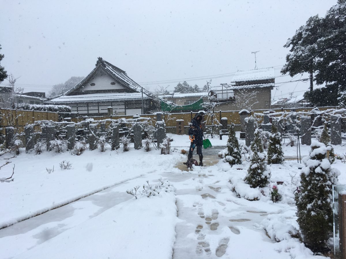 雪かき